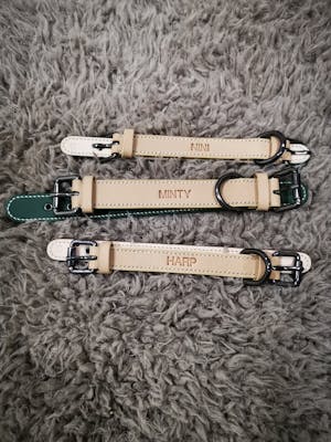 dog collar - color straps (basic colors)