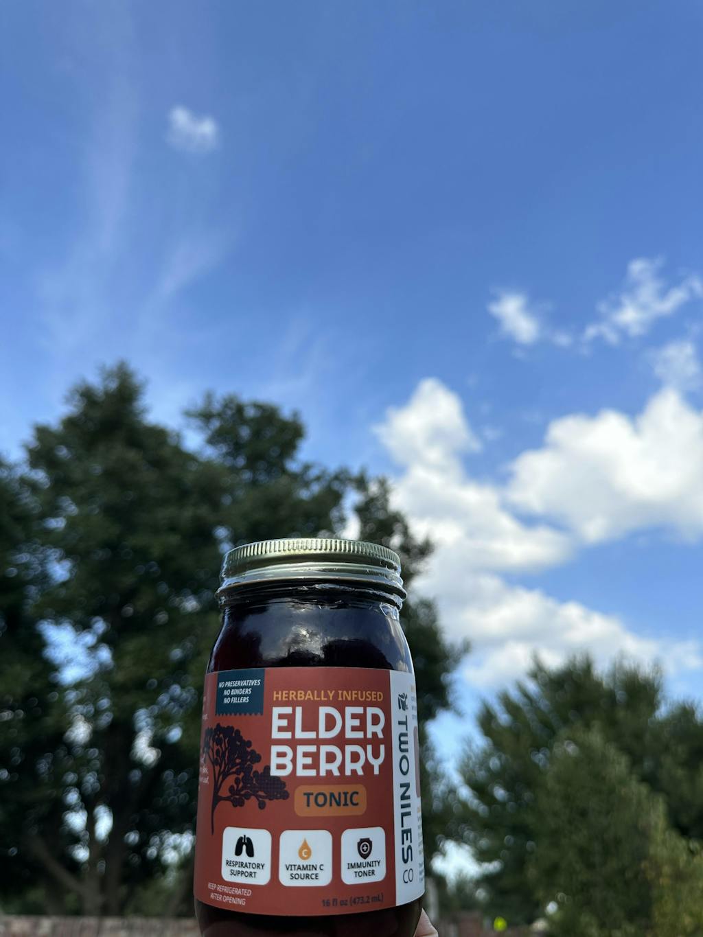 Elderberry Tonic Immune Toner TwoNilesCo Two Niles Co