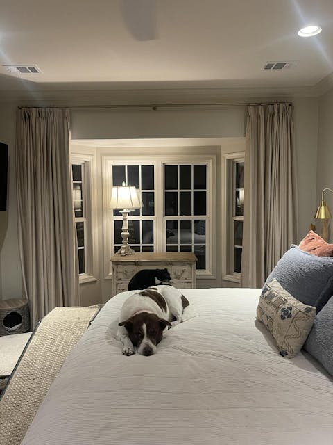 Birkin Velvet Curtain Pleated