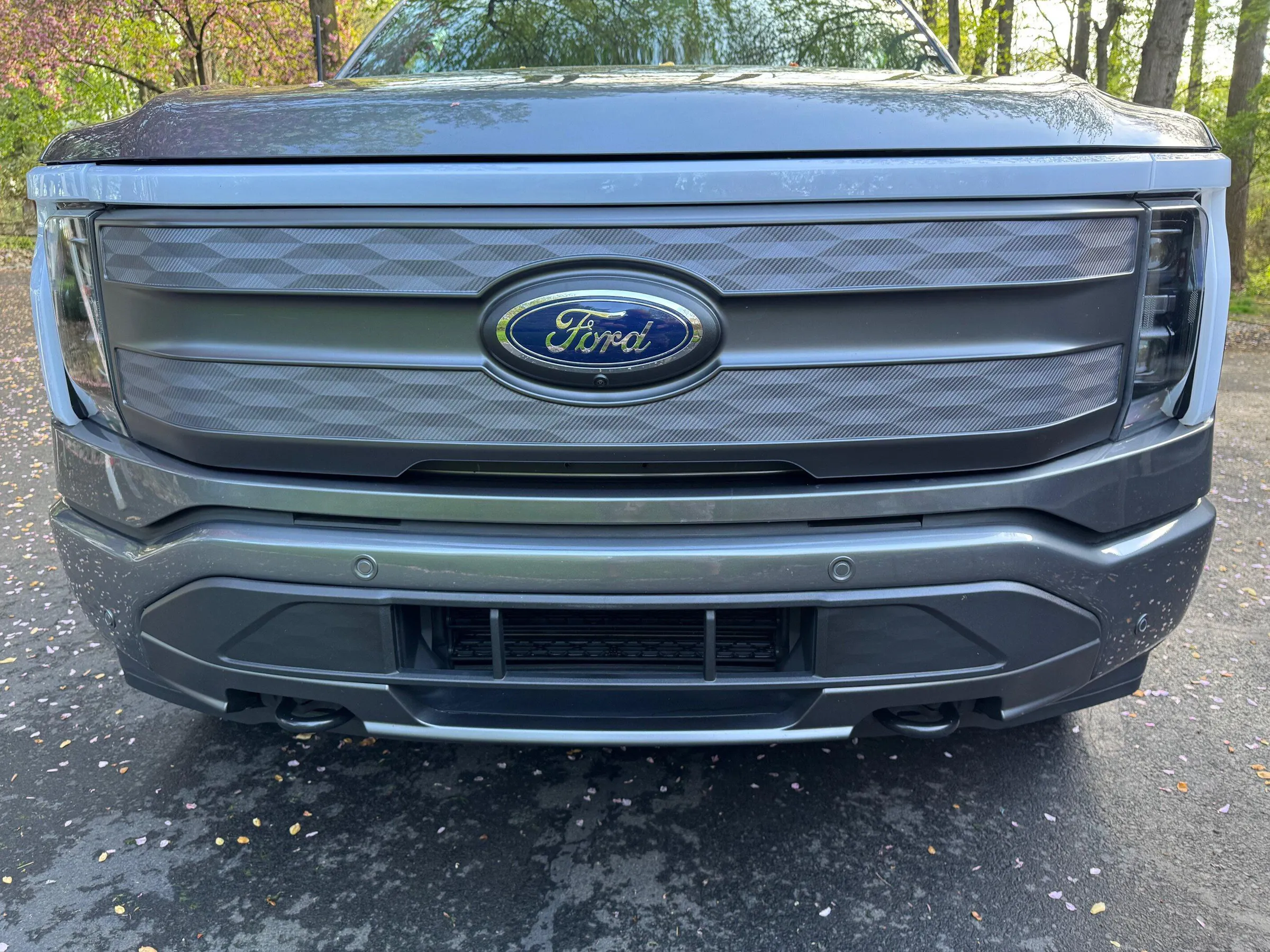 Carbon Fiber Grille Strips | Vinyl Overlay for Ford F-150 Lightning