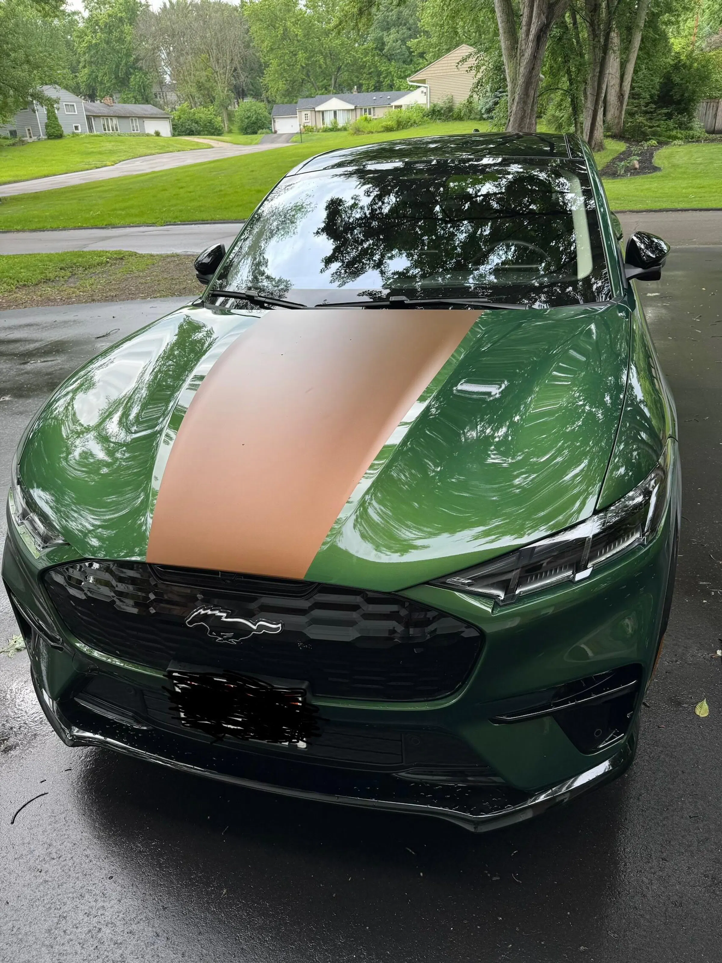 Sport Stripes | Vinyl Overlays Mustang Mach-E