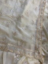 Aliaa Bhatt Inspired Beige color organza zari saree having embroidery work