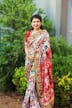 Multi colour traditional Patan Patola Pure Silk Saree