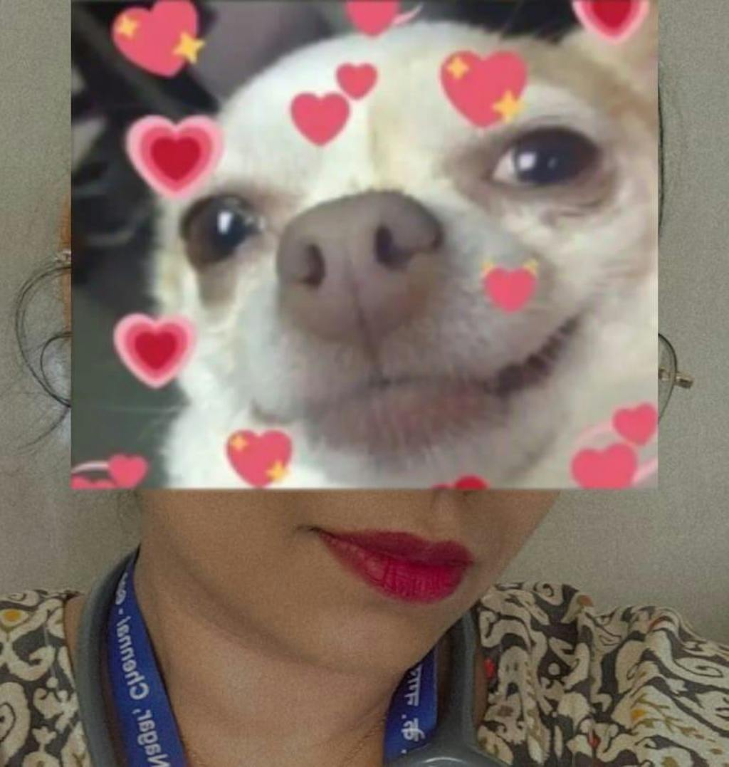 POWER POUT DUO - Kit of 2