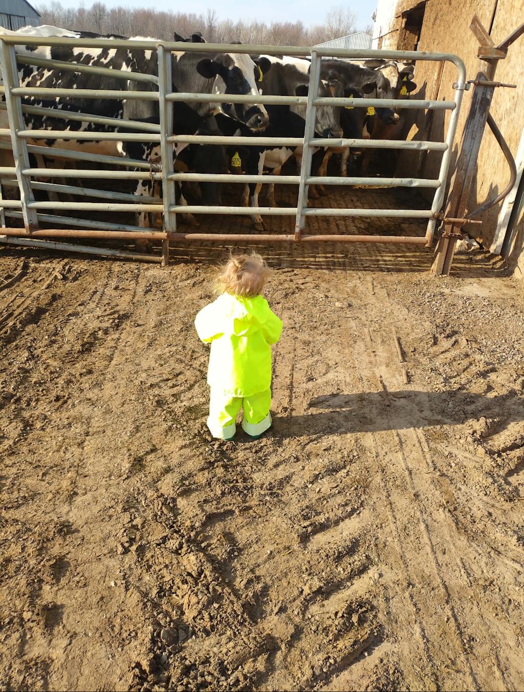 Children's Bibbed Overalls Waterproof Udder Tech, Inc.