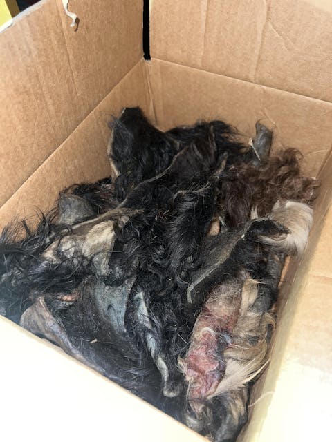 Sample of Chips, Chunks, & Scraps