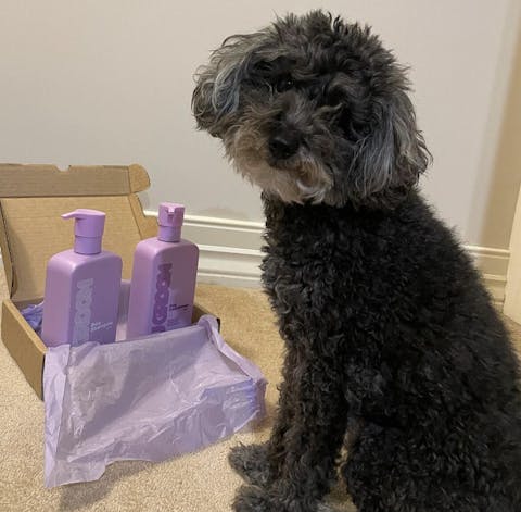 U Groom Shampoo & Conditioner Duo