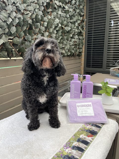 U Groom Easy Wash Bundle