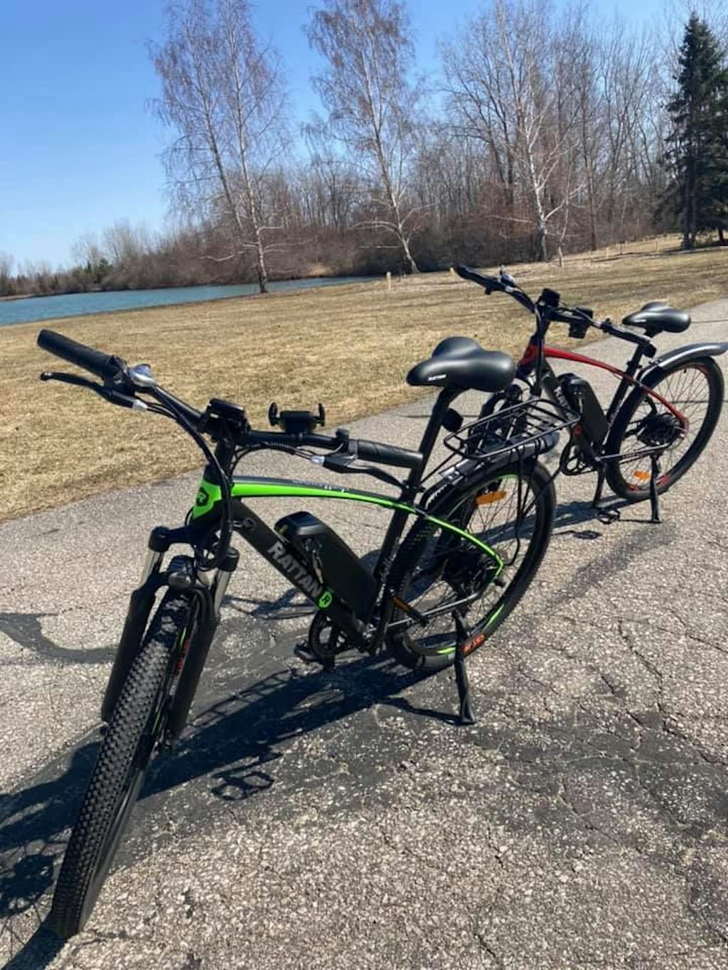 rattan challenger electric bike