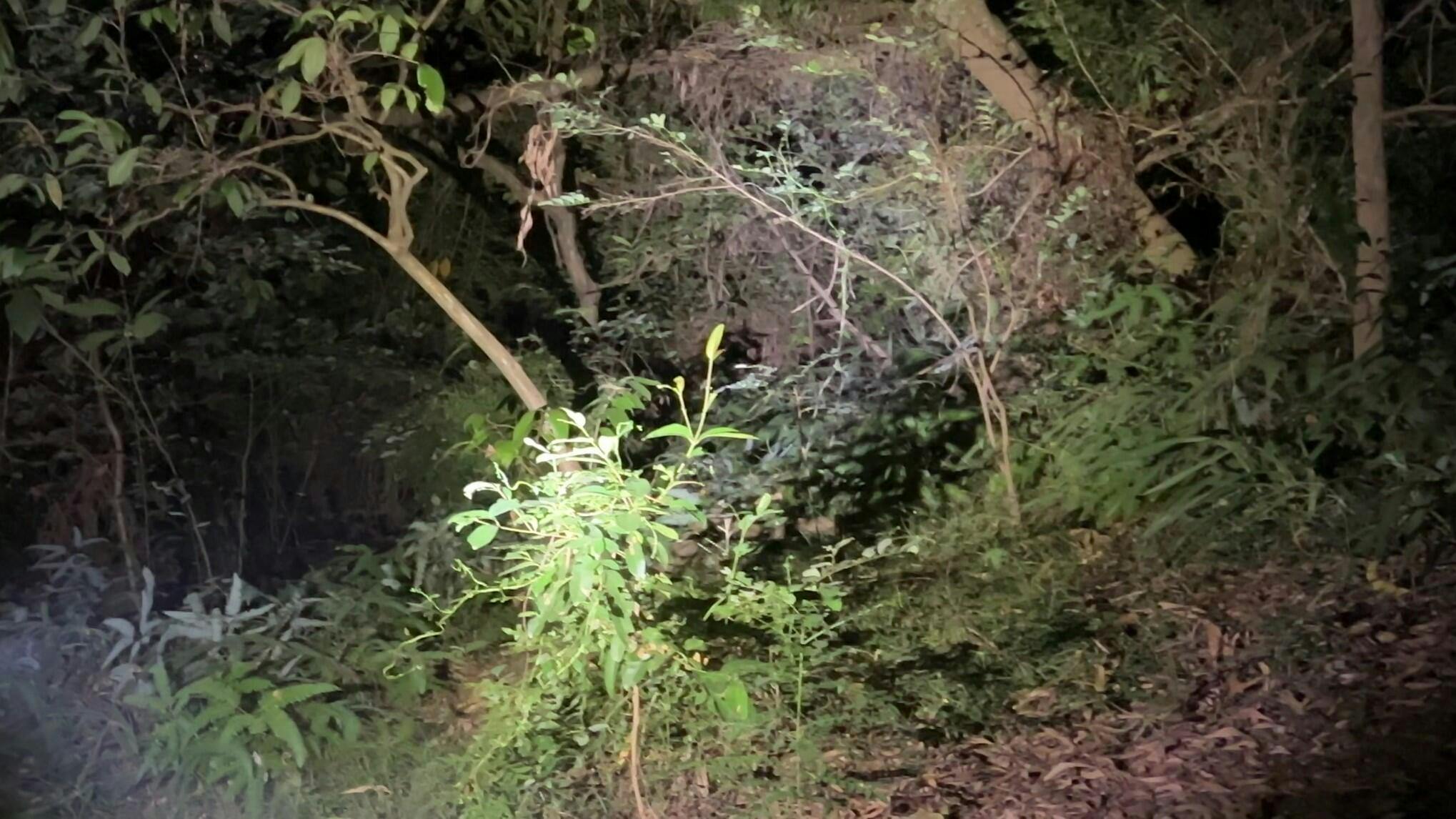 WF-501BX Rechargeable Tactical Flashlight