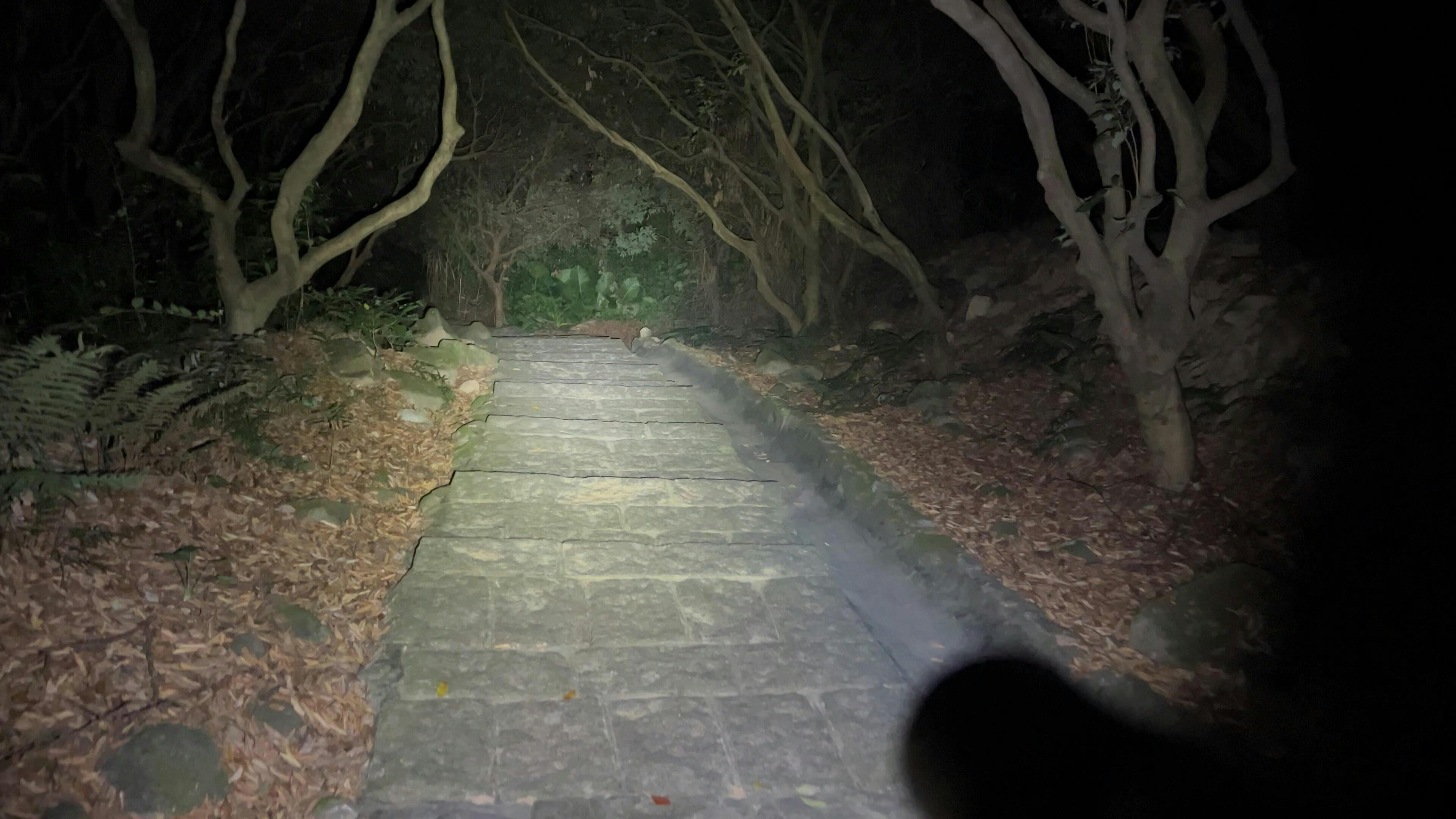 T5 Rechargeable Tactical Flashlight