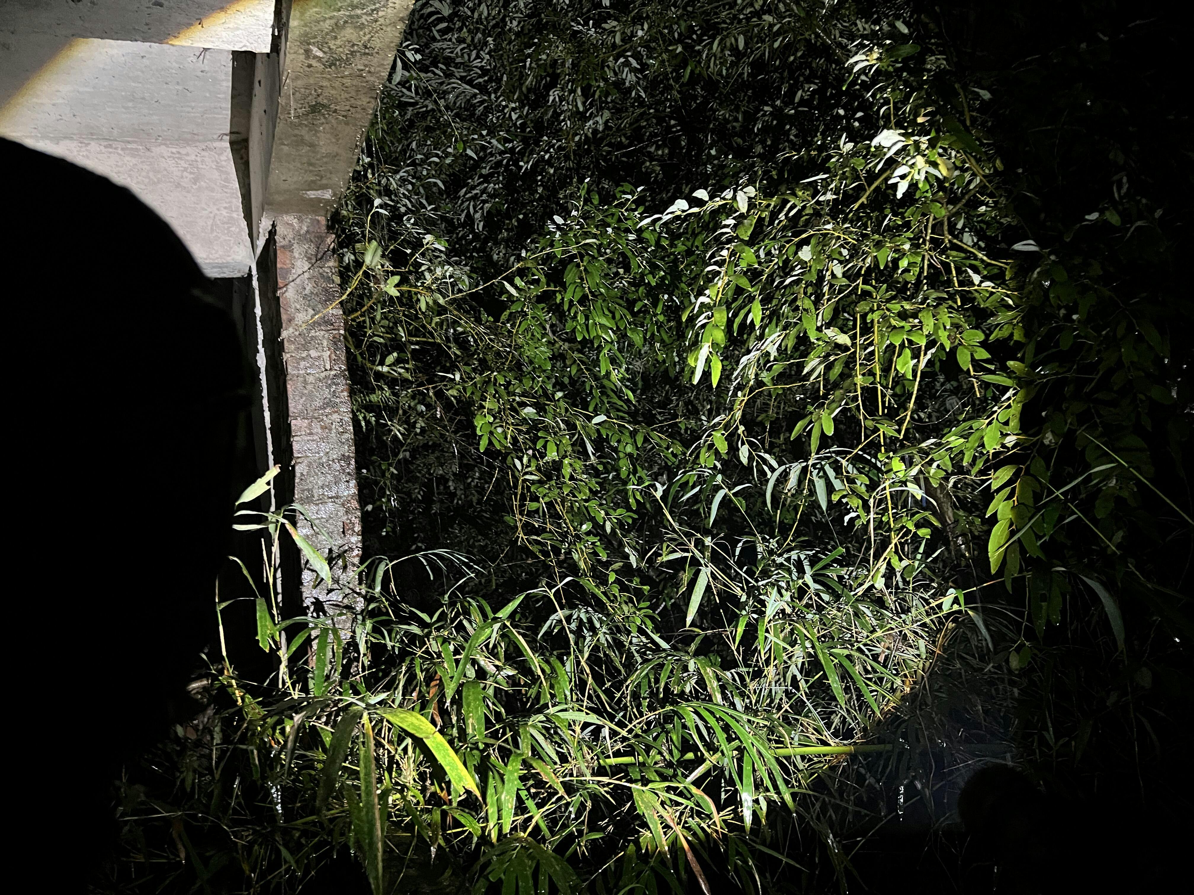 T5 Rechargeable Tactical Flashlight