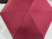 THE UMBRELLIE - World's Smallest Umbrella
