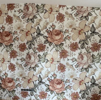 Tapete Erotic Toile de Jouy - Pascale Risbourg - Etoffe.com, image size:947x946