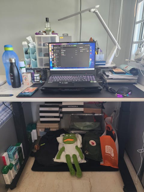 UNIQ Standing Desk (Custom)