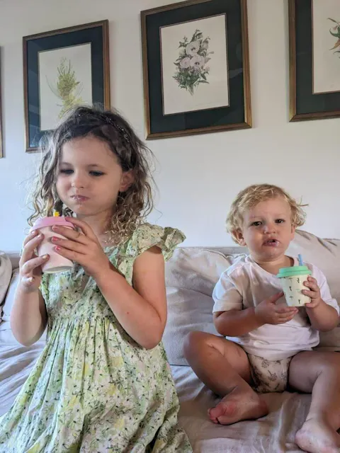 Immune Protein - Strawberry Fort