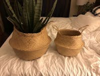 Alexis Seagrass Storage & Planter Basket