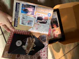 User picture