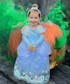 Light Up Puffy Sleeves Princess Cinderella Dress