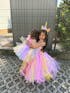 Unicorn Light Up Princess TUTU Easter