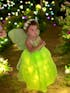 Glowing Tinker Bell Enchanted Costume