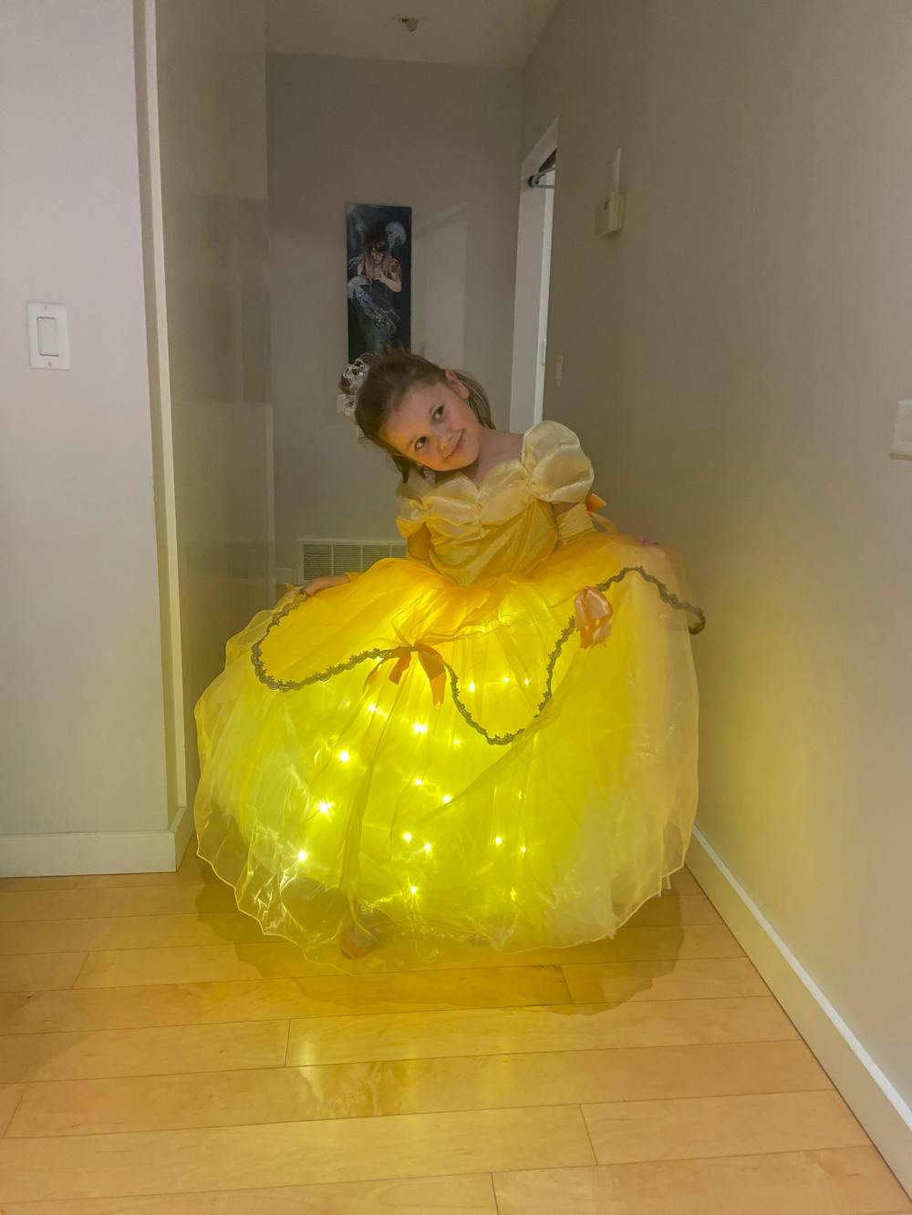 Light Up Princess Costume Dress