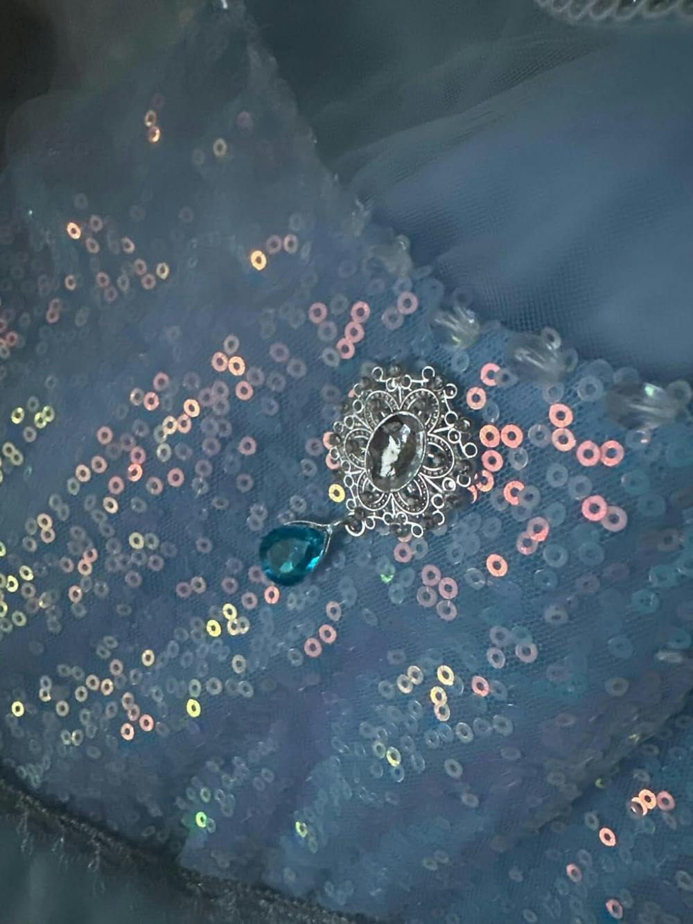 Elsa and Anna Princess Set Light Up Costume For Girl