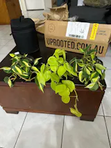 User picture