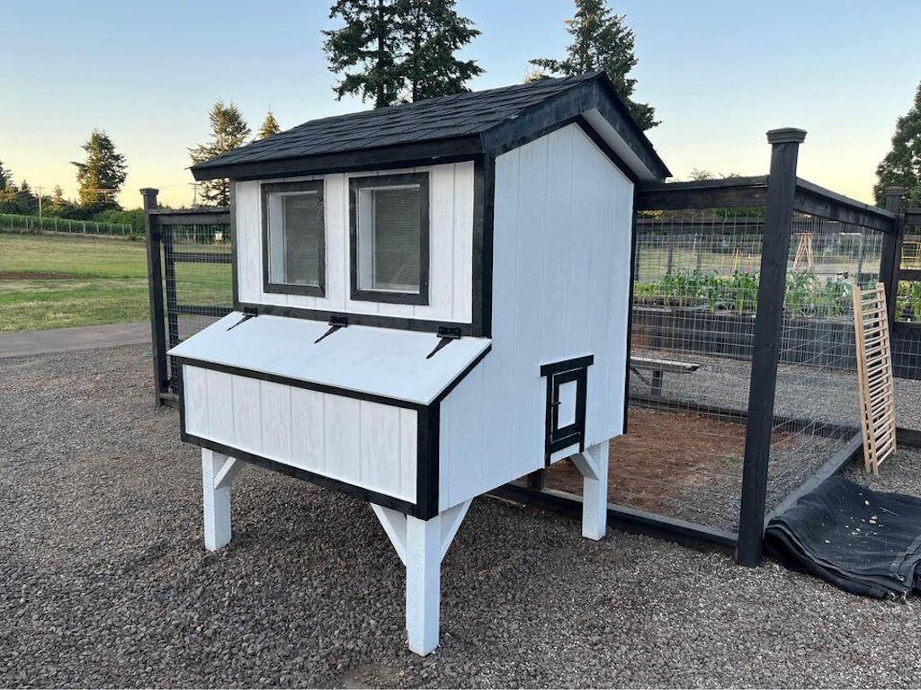 Large chicken coop plans – Urban Northern Coops