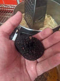 Black Summer Truffles (Tuber Aestivum Vitt)