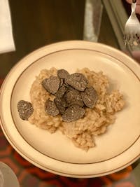 Black Burgundy Truffles (Tuber uncinatum)