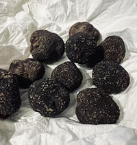 Urbani Truffles