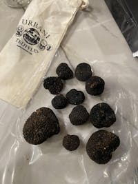 Pre-Order Black Burgundy Truffles