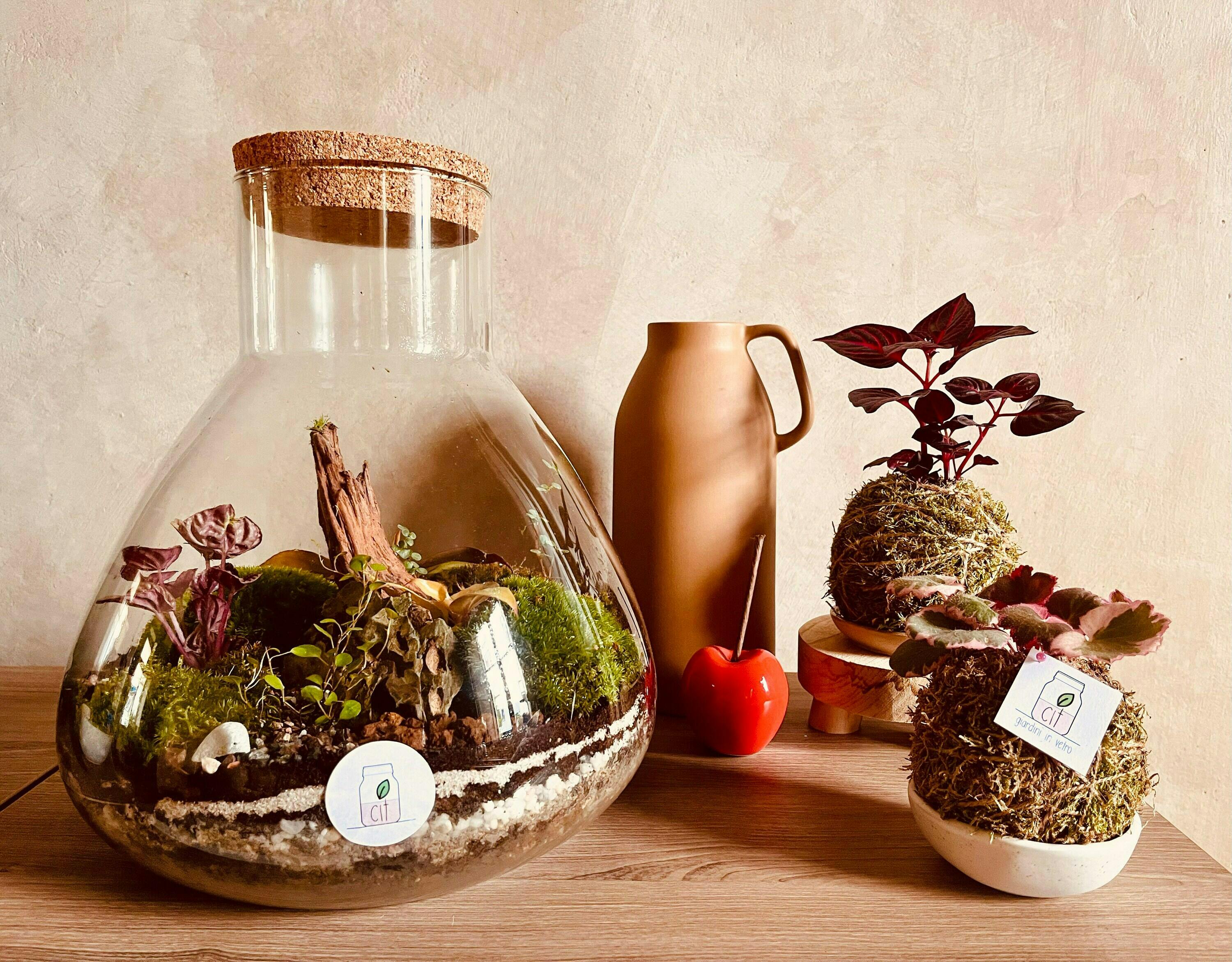 Terrarium with cork and led light Closed terrarium Erlenmeyer ↑ 30