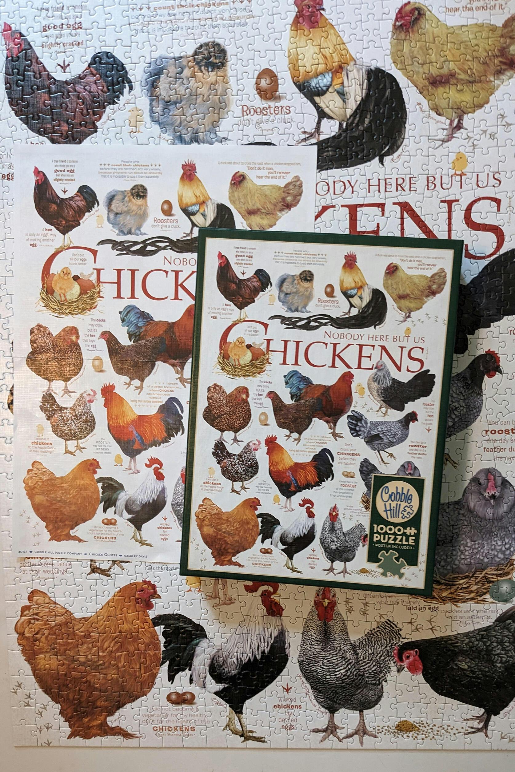 Chicken Theme 1000 Piece Jigsaw Puzzle For Adults - Fun Animal Themed Challenging Puzzle - View #11