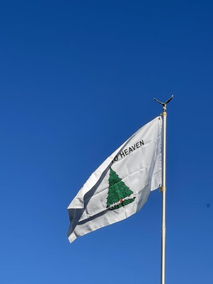 An Appeal To Heaven Flag (3x5 foot) Double-sided Embroidered – USA