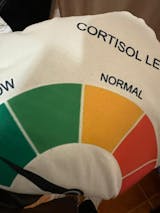 LOW CORTISOL T-SHIRT