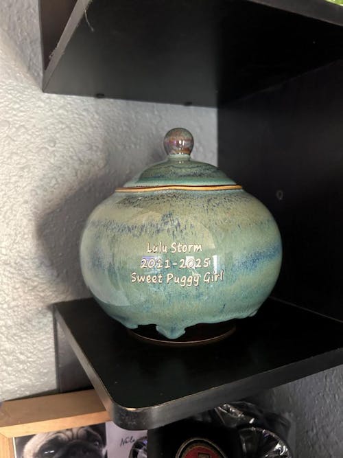Handmade Ceramic Pet Urn for Ashes – Personalized Memorial Keepsake Jar
