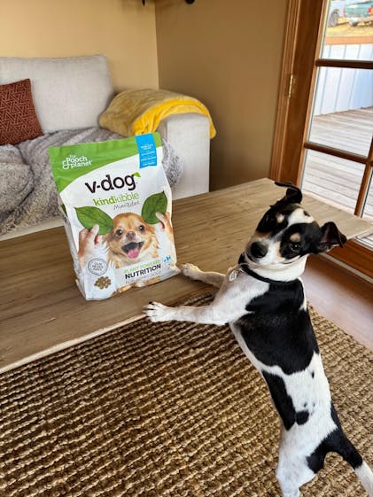 Vegan Dog Food Diet: A Healthier Choice for Pups