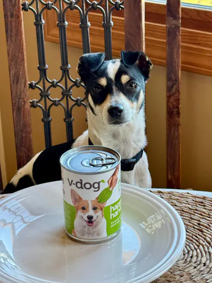 Can Small Dogs Eat Adult Dog Food? Essential Facts Revealed
