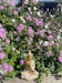 Meditating Gautam Buddha Statue