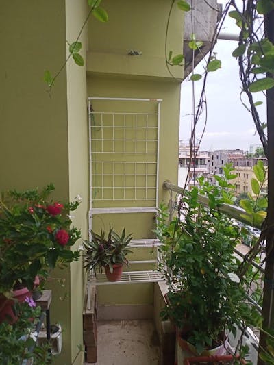 Cosette Macrame Planter - Set Of Three