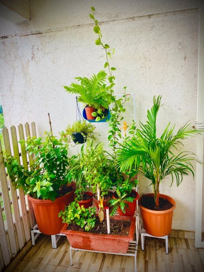 Mora Macrame Planter