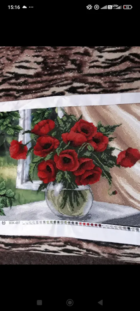 10/0 97070 matte Preciosa Czech Glass Seed Beads Rocailles 2.3mm. Red transparent Silver lined.