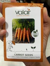 Organic Carrot Seeds