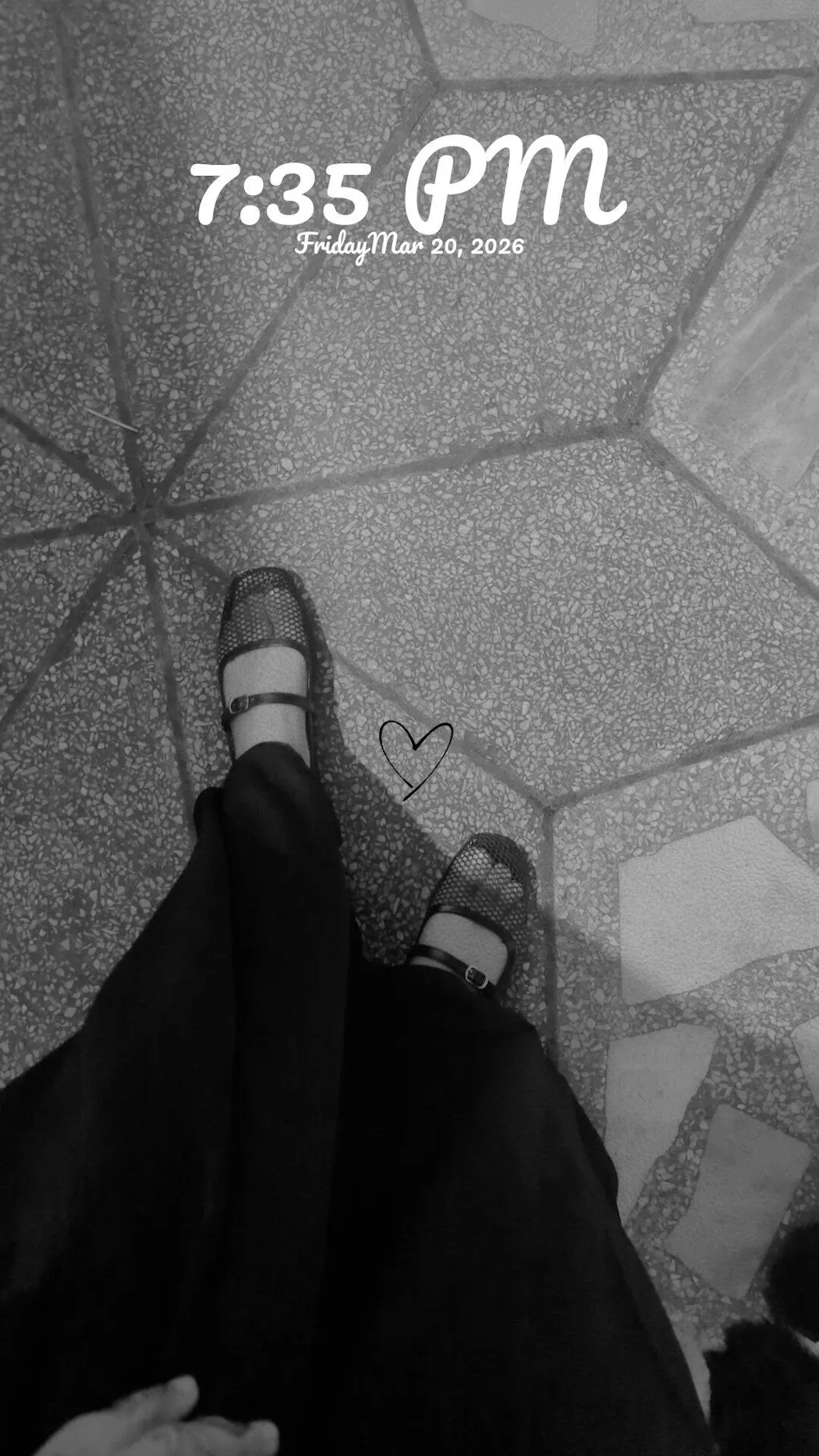 Amanda Ballet Net Pumps