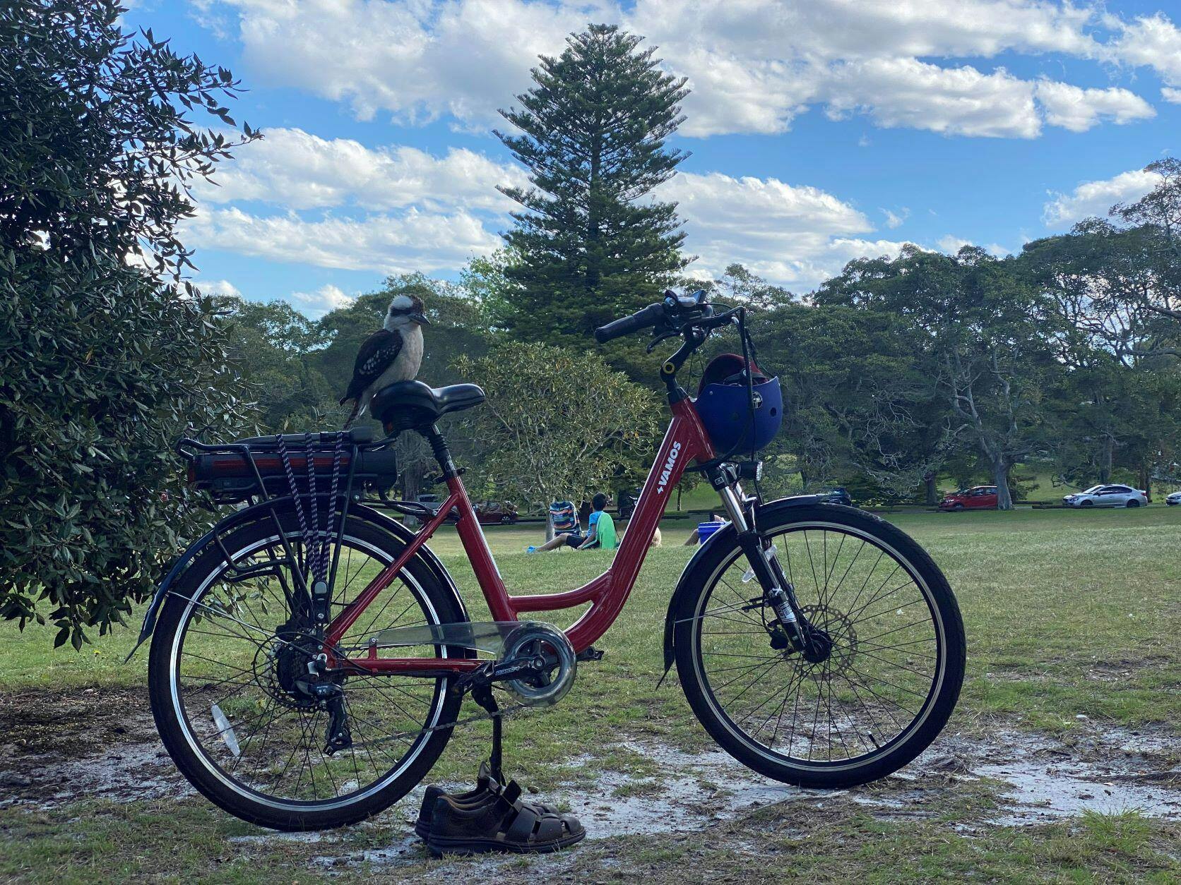 Best price for bikes discount