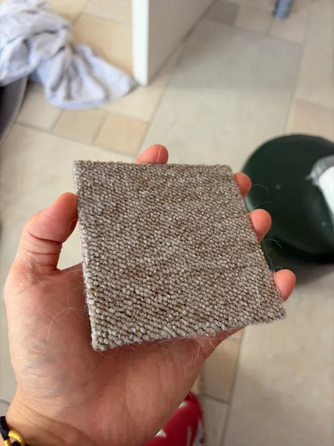 Verdi SAMPLE [SAMPLE]