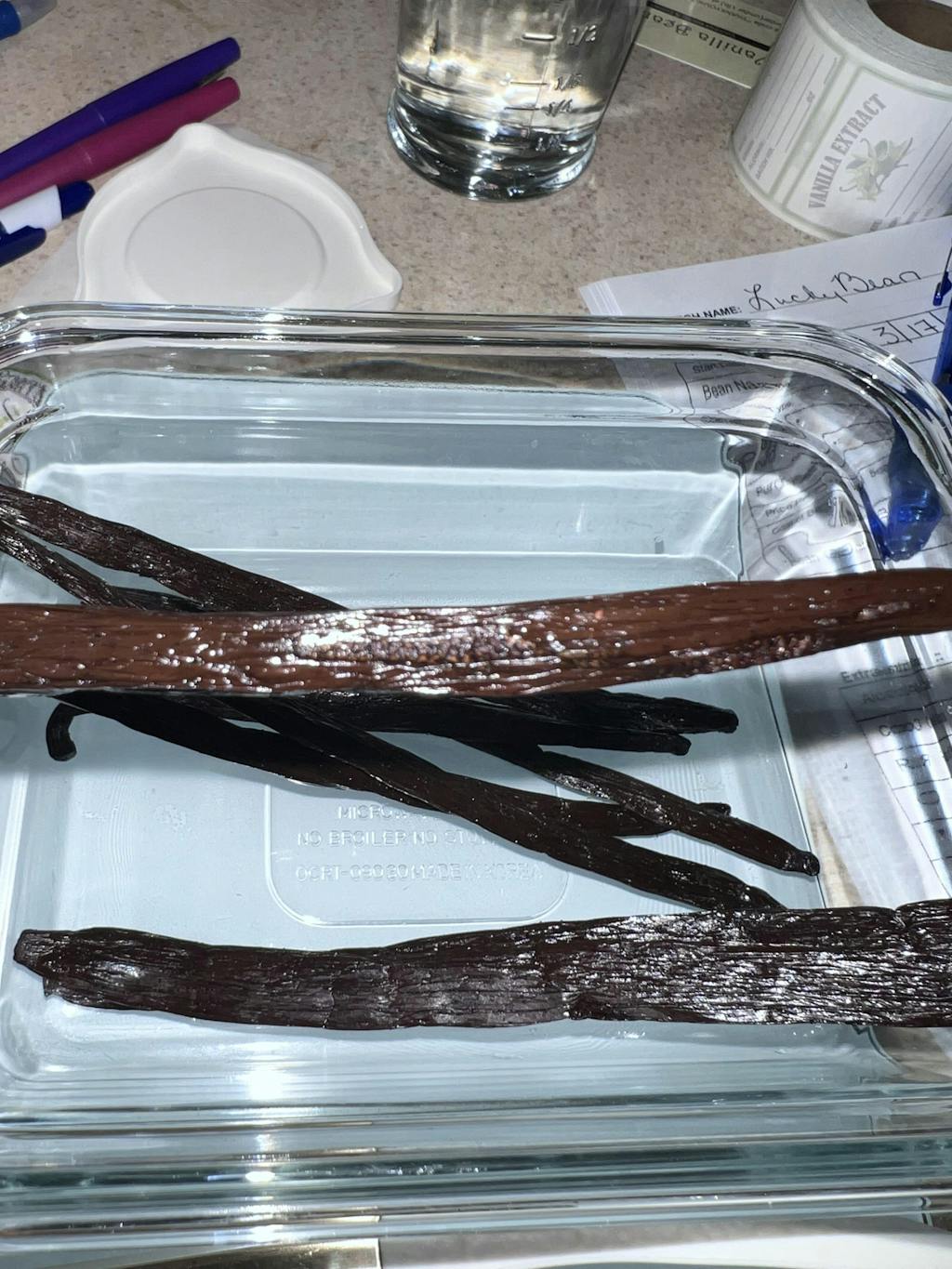 Tanzania Vanilla Beans Whole Grade A Vanilla Pods Vanilla Bean Kings