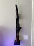 RACT Biometric | Rifle & Shotgun Safe